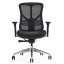 Without Headrest